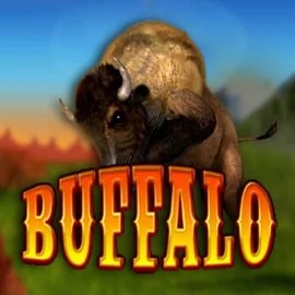 Buffalo Bingo slot icon by MGA Games, available at Oranje Palace Casino